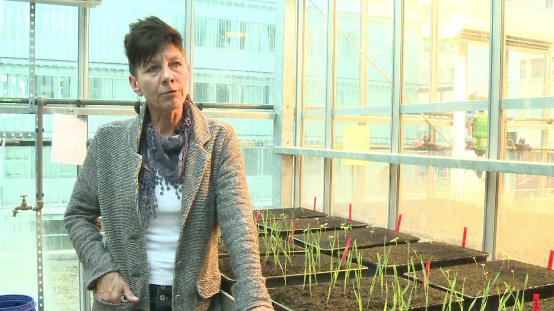 Environmental Scientists and Specialists, Including Health