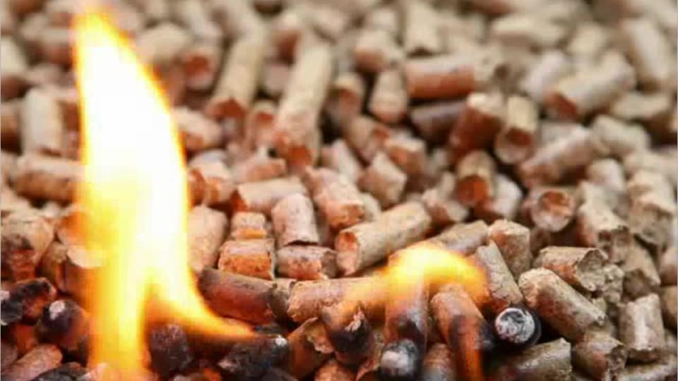 Biofuels/Biodiesel Technology and Product Development Managers