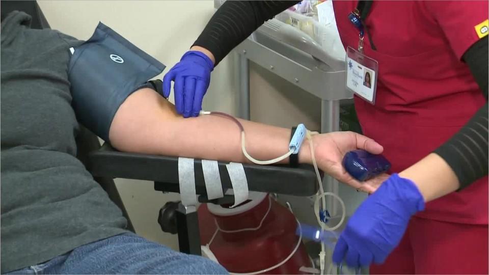 Phlebotomists
